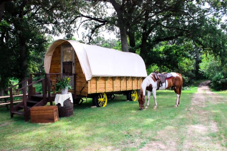 Overnight camping experience at Cedar Creek Ranch